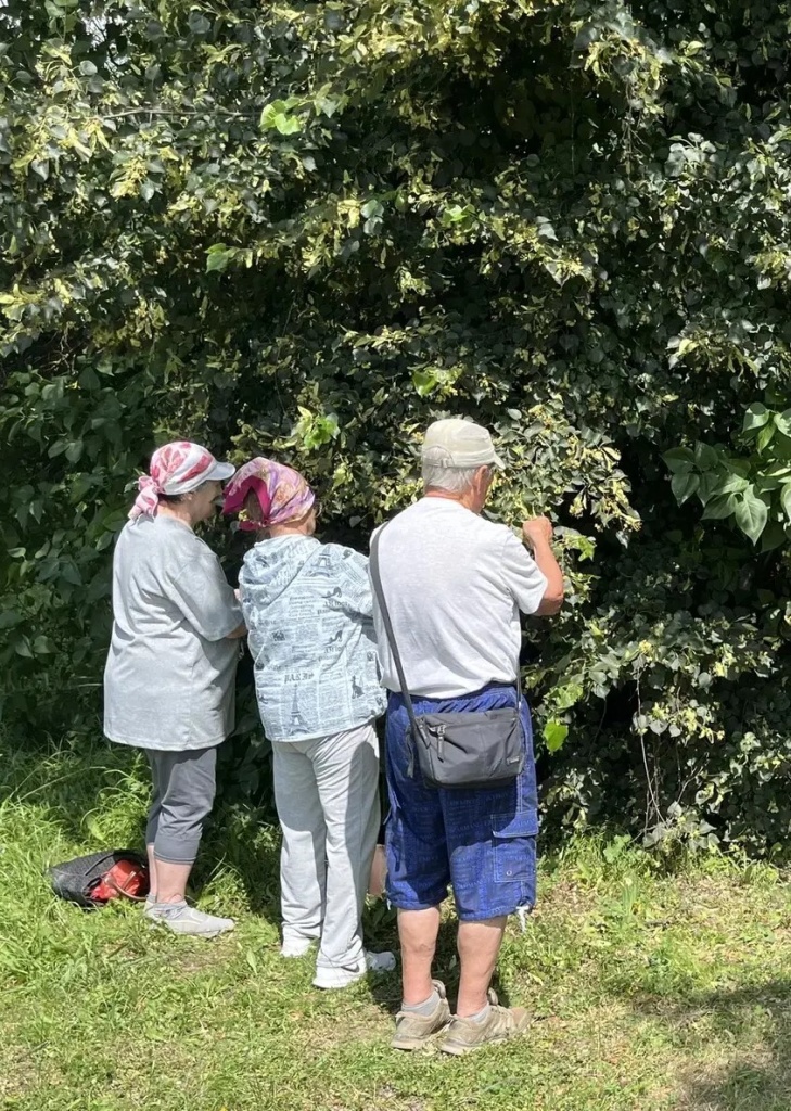 i (6)66.jpg